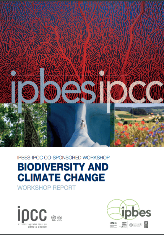 Bio-Diversity and Climate Change