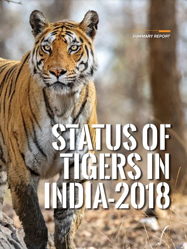 6 tigers die in the first 8 days of 2022 in India