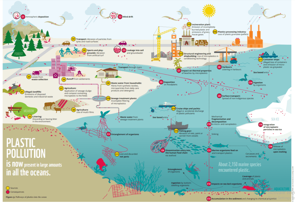 Plastic pollution everywhere