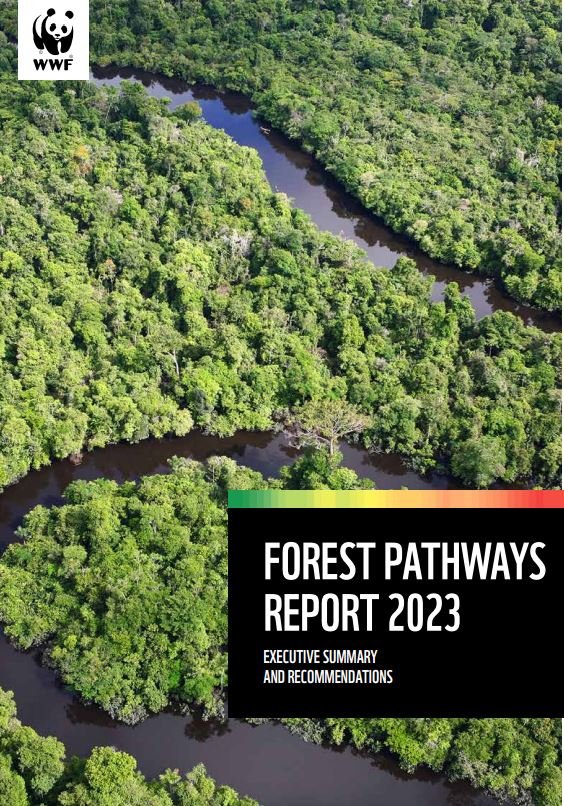 World Off Track in Protecting Forests by 2030, Warns WWF’s Forest Pathways 2023 Report